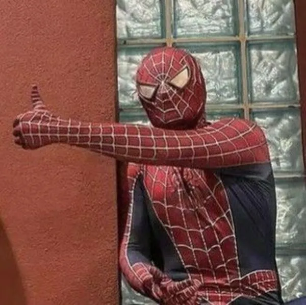 spider man meme like 