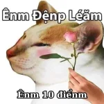101+ meme 10 điểm hài hước – Cười thả ga cùng cộng đồng mạng