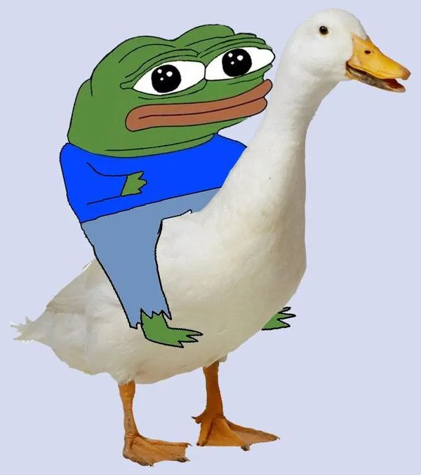 meme pepe cưỡi vịt 