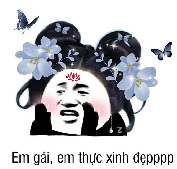 meme trung quốc (3)