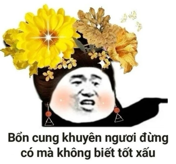 meme trung quốc (4)