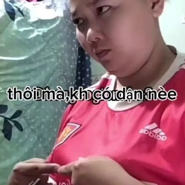 meme xin lỗi đáng yêu 