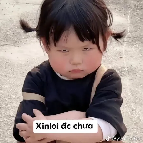 meme xin lỗi 