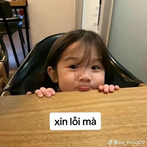 meme xin lỗi em bé cute 