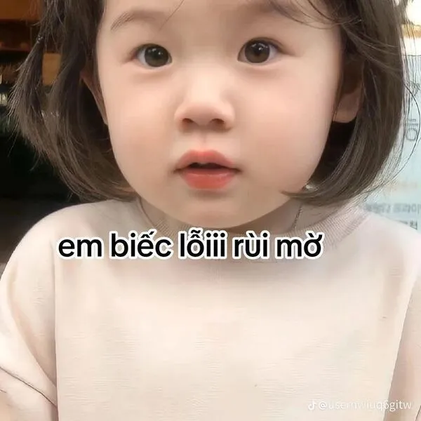 meme xin lỗi em bé 