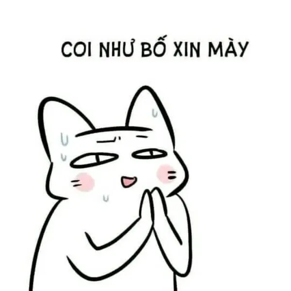 meme xin lỗi coi như bố mày xin 