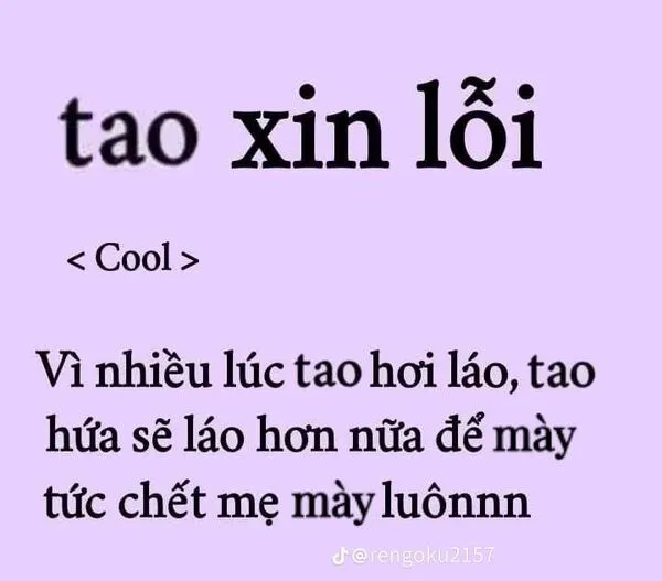 meme xin lỗi mới nhất 