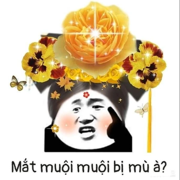 trung quốc meme (3)