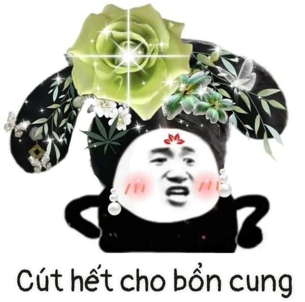 trung quốc meme (4)