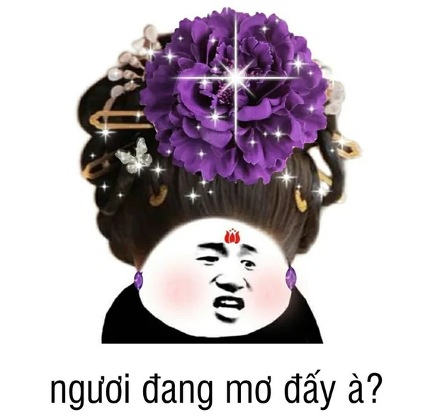 trung quốc meme (5)