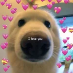 Hình nền meme cute cực chất cho máy tính