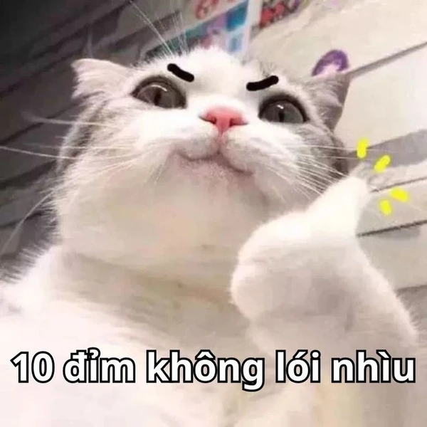 Hình nền meme cute troll bạn bè