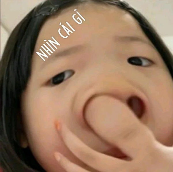 Meme cute biểu cảm khó đỡ