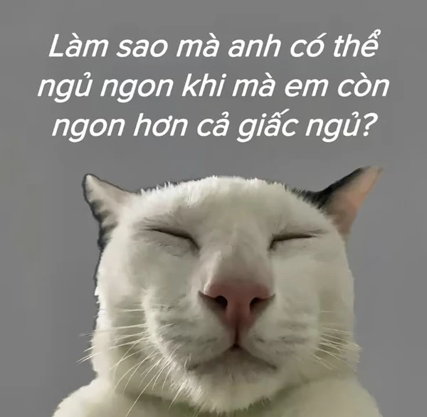 Meme cute hài nhìn mà cười