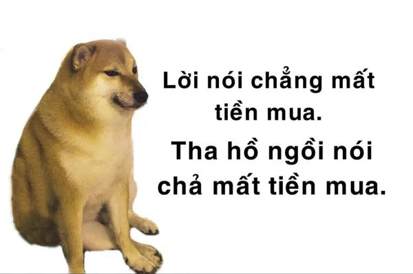 ảnh chó meme hài (1)