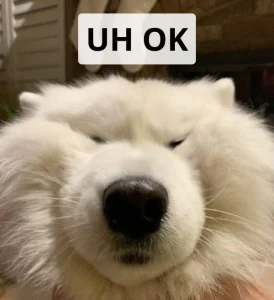 Tuyển tập 185+ ảnh meme okay vui nhộn, cực hài hước