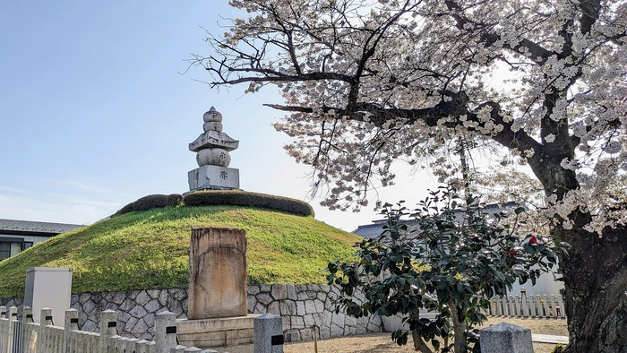 Góc nhìn nghiêng của gò Mimizuka Kyoto.