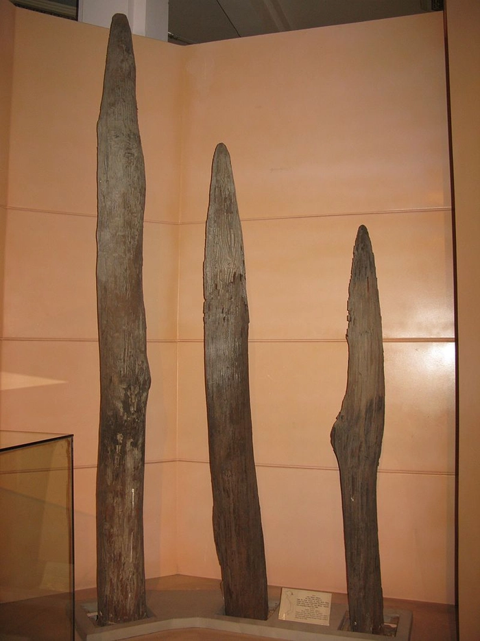 Cọc gỗ Bạch Đằng