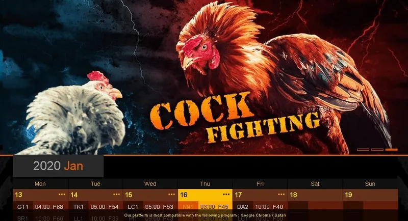  Chọn gà đá hay qua link vào ga6789 