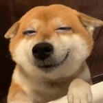 ảnh cười đểu meme