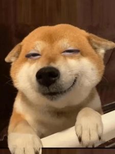 ảnh cười đểu meme