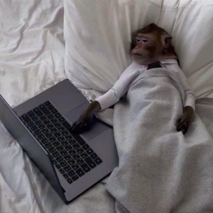 ảnh meme cười đểu