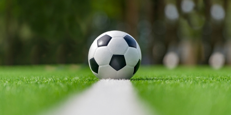 Người dùng có thể theo dõi bảng xếp hạng các giải đấu hàng đầu