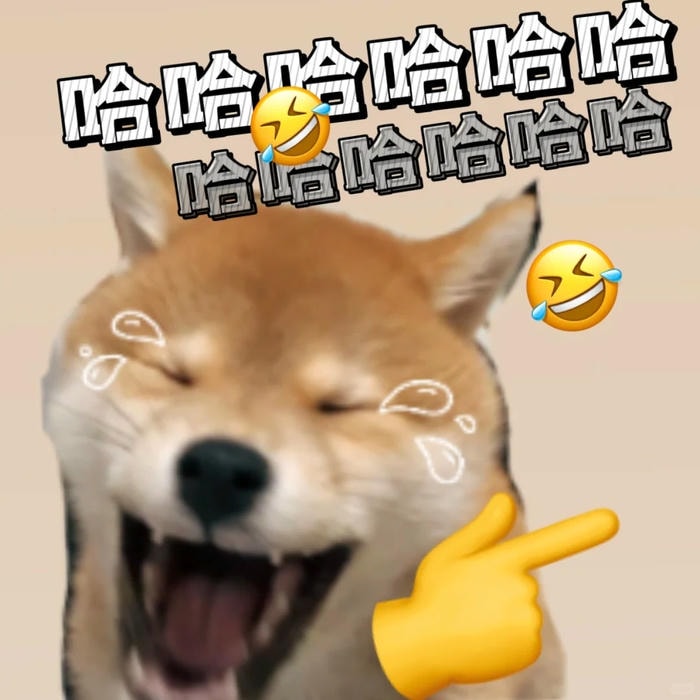 meme cười gian
