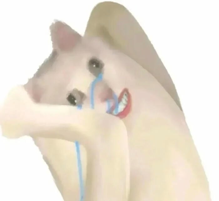 meme cười lạnh lùng