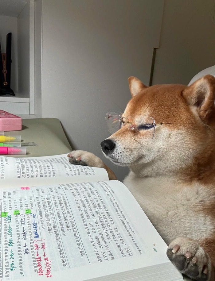 meme học đường