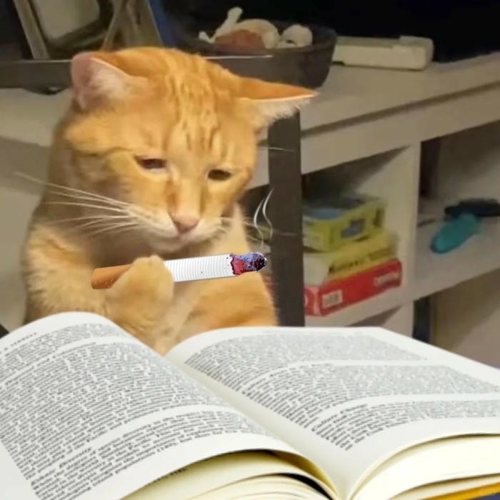 meme học tiếng anh vui