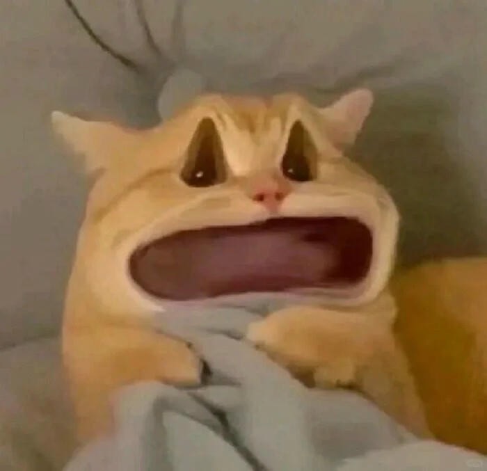 meme quê lầy lội