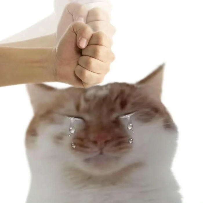 meme quê troll bá đạo