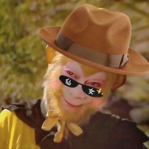 meme tôn ngộ không lạnh lùng