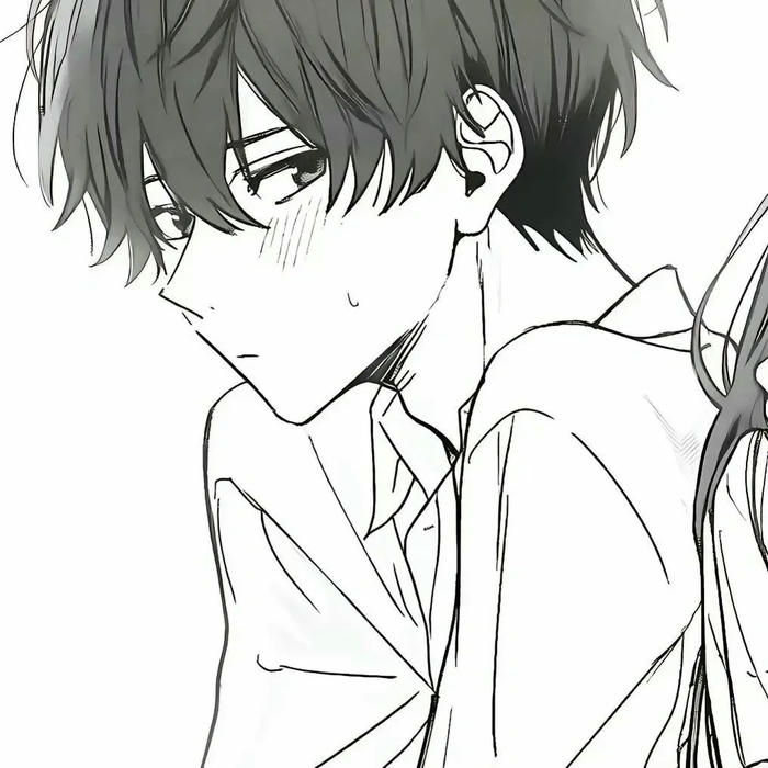 14 avatar đôi anime ngầu mạnh