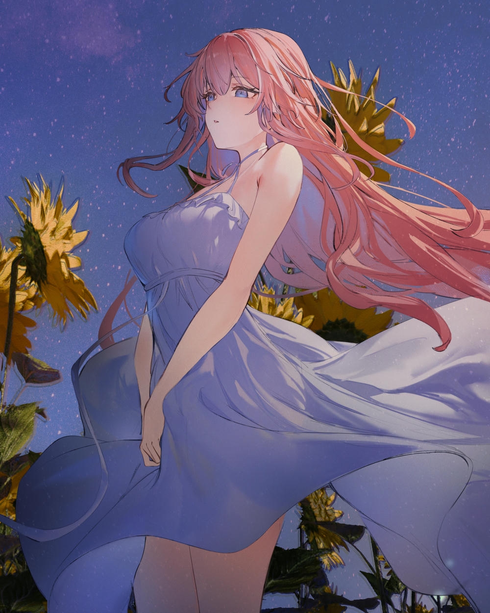 anime hiếm phong cách xưa