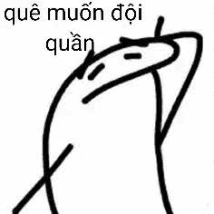 meme đội quần độc lạ