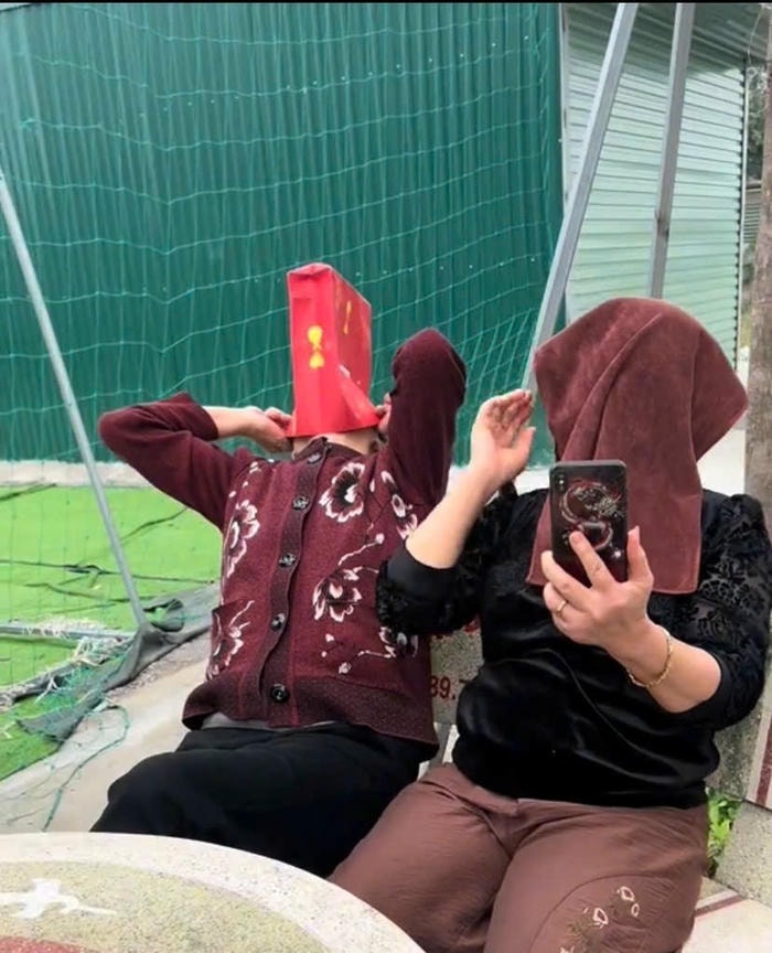 meme đội quần hài