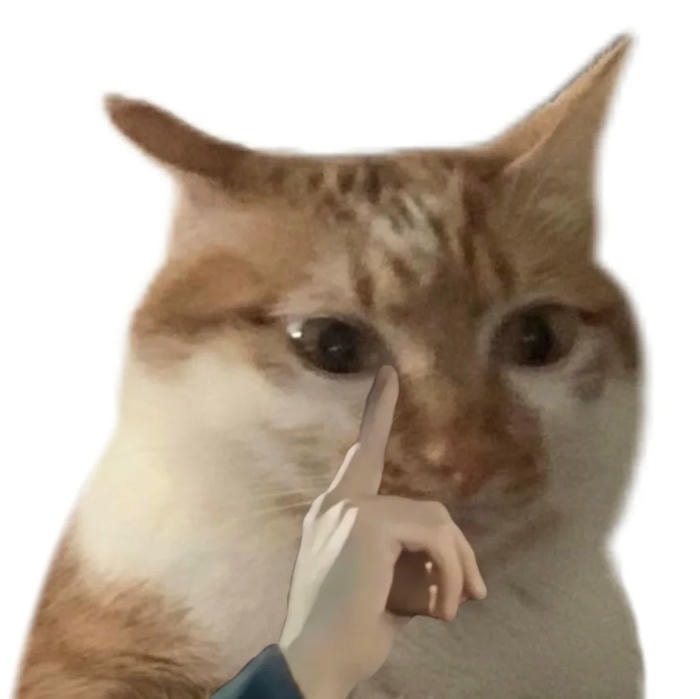 meme là gì phổ biến