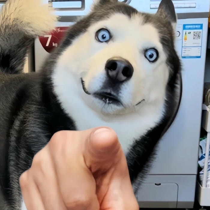 meme là gì việt hóa