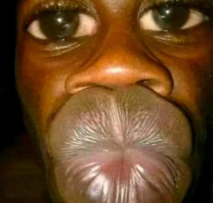 meme là gì vui nhộn