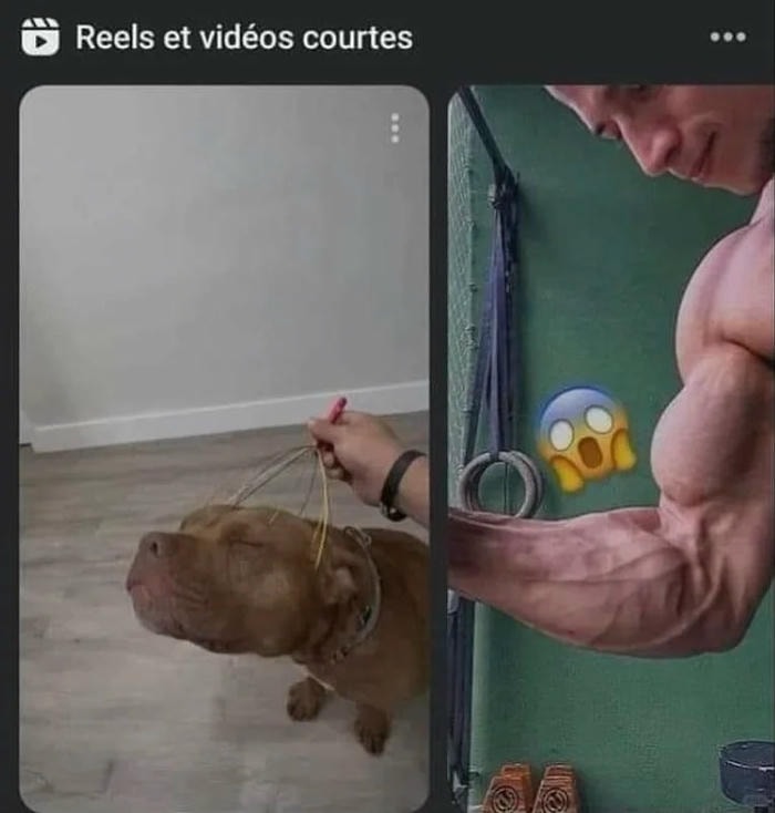 meme trong tiếng anh là gì