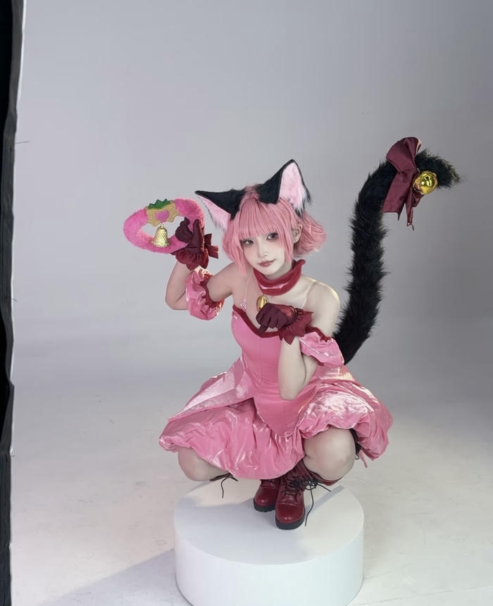 Gái đẹp cosplay mèo tay tạo dáng vuốt