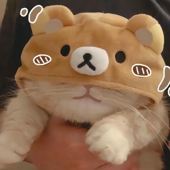 avatar cute phong cách cá tính