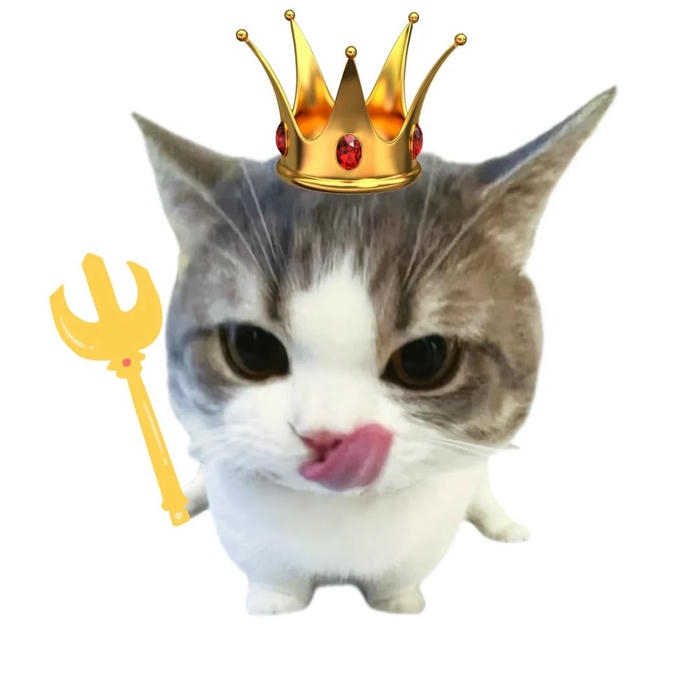 avatar meme funny profile picture