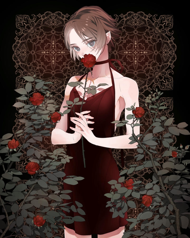 hình ảnh anime công chúa lạnh lùng phong cách