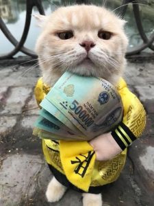 Ảnh meme tiền hài hước cute xỉu