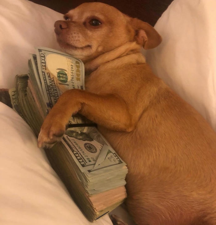 Ảnh meme tiền lố nặng coi mà mệt