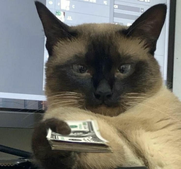 Hình ảnh meme tiền hài hước nhìn là cười