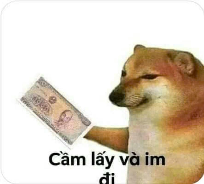 Hình meme tiền nhìn nghèo mà mắc cười